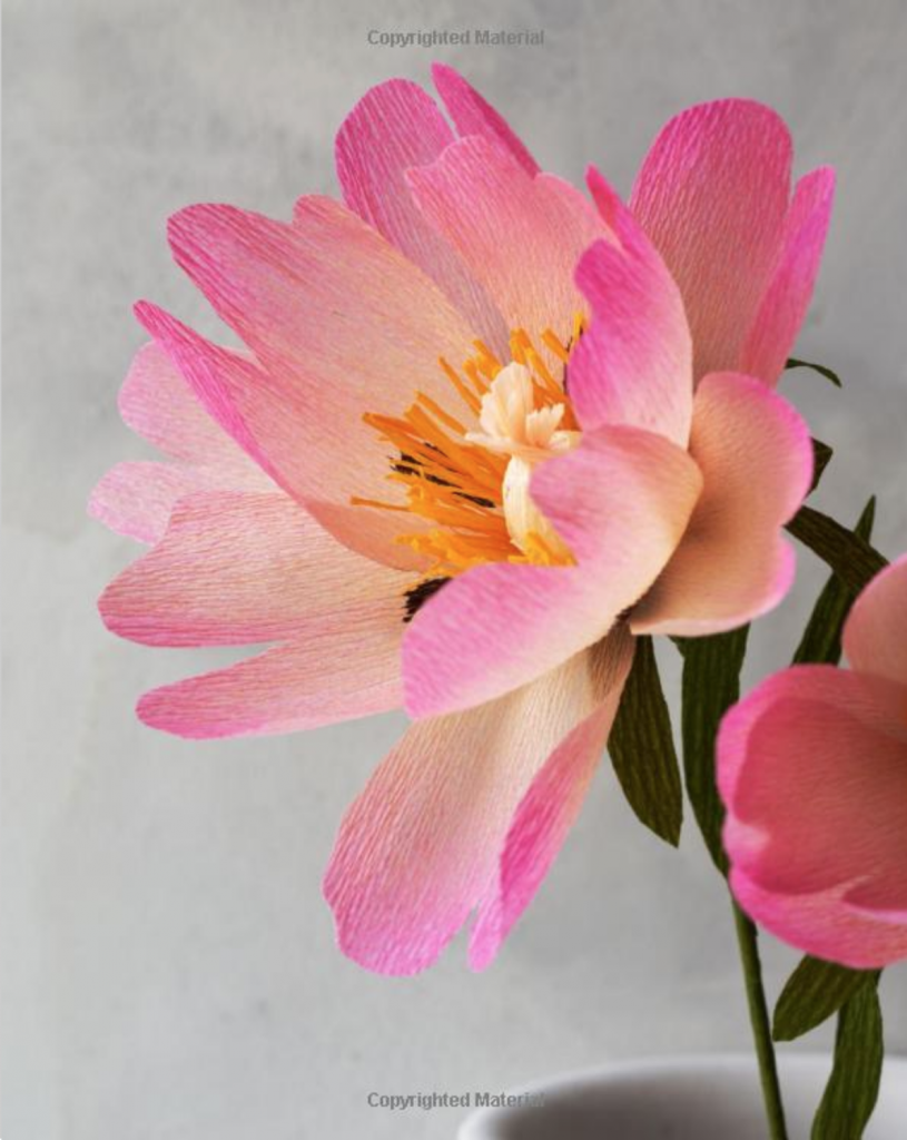 Paper Flowers by Kate Alarcón